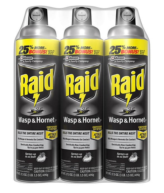 Raid Wasp & Hornet Killer 3ct, 17.5 oz